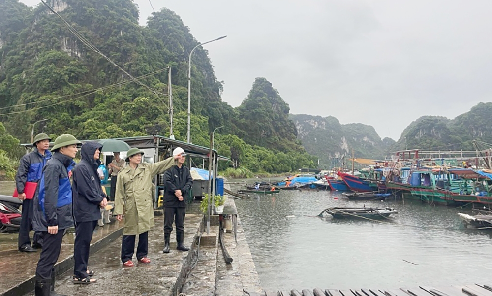 TP Hạ Long (Quảng Ninh): Chủ động ứng phó với bão số 2