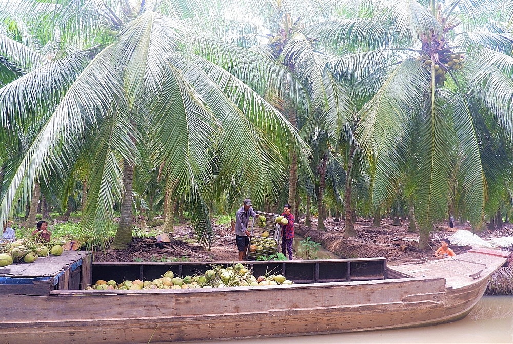 Nông thôn mới Thạnh Phú, Bến Tre - Những đổi thay đáng tự hào