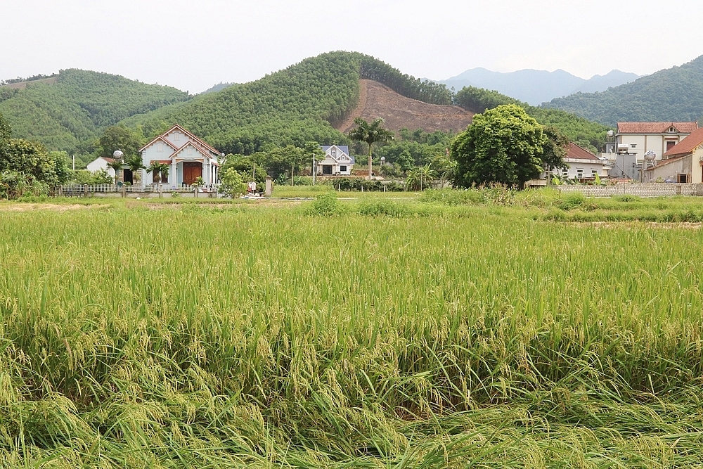 Quảng Ninh: Xã Vũ Oai đường làng hoa nở thêm nét đẹp nông thôn mới