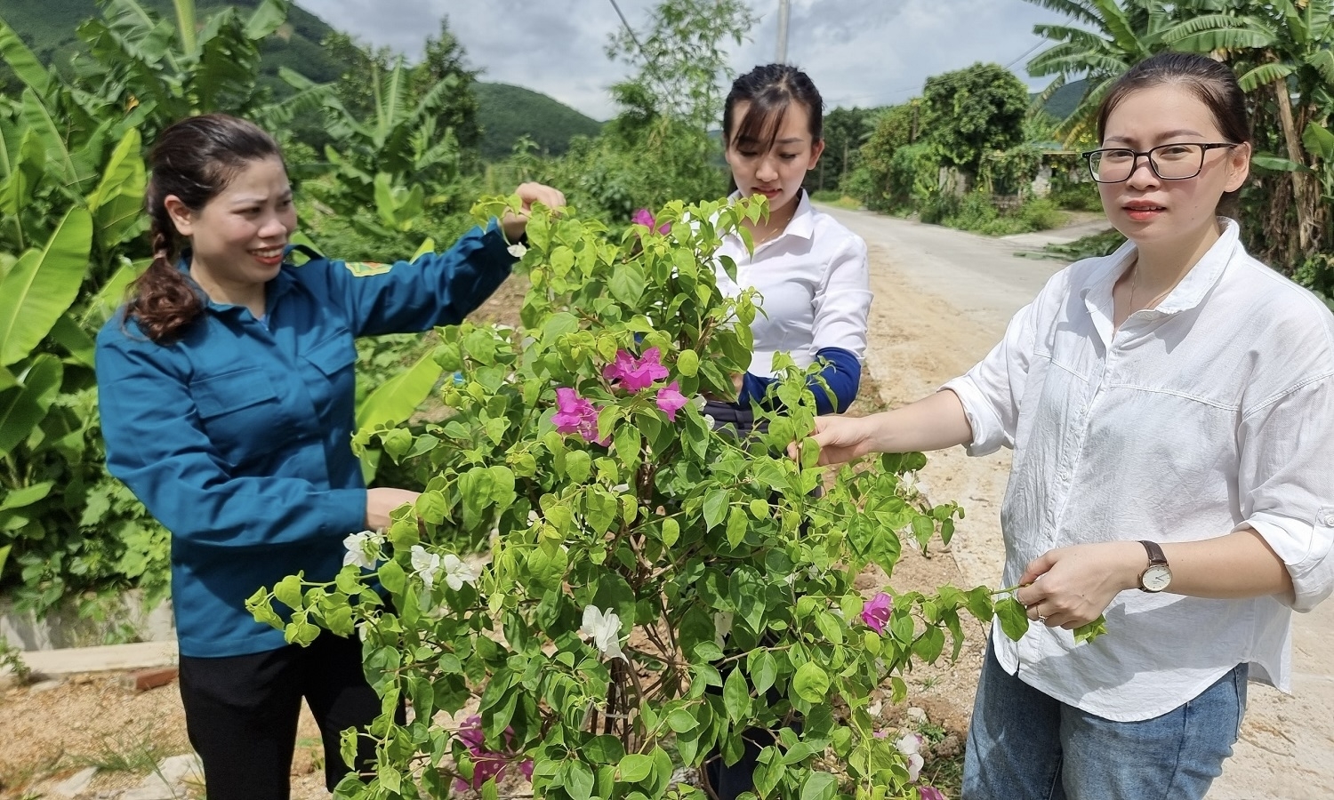 Quảng Ninh: Xã Vũ Oai đường làng hoa nở thêm nét đẹp nông thôn mới