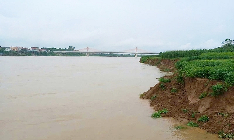 Vĩnh Phúc: Bờ sông Lô sạt lở, uy hiếp tính mạng người dân