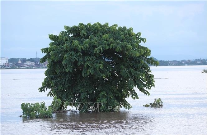 Mưa lũ gây nhiều thiệt hại tại Lào