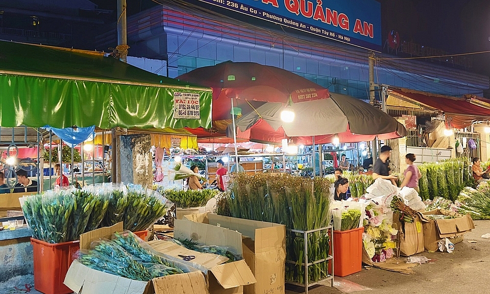 Hà Nội: Tiểu thương “vừa mừng vừa lo” khi chợ hoa Quảng An sẽ trở thành điểm du lịch đêm