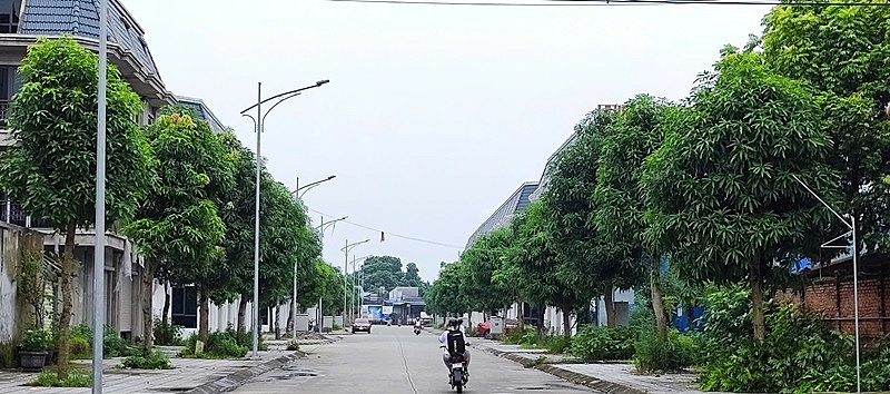 Thái Nguyên: Bảo đảm an toàn trong quản lý cây xanh đô thị