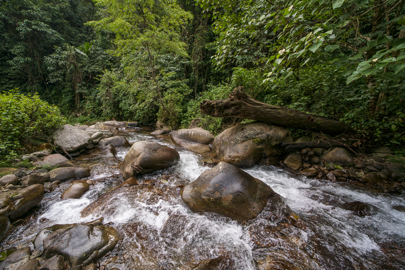 Chinh phục cung Pusilung cao hơn 3000m, hiểm trở bậc nhất Tây Bắc