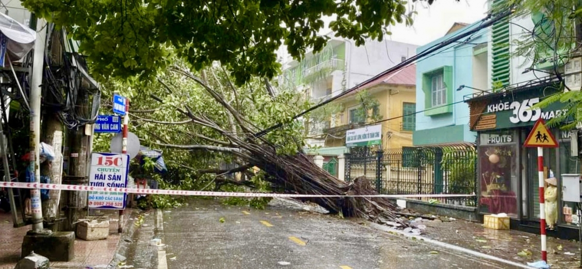 Bộ Xây dựng tham gia ứng phó bão số 3 cùng địa phương