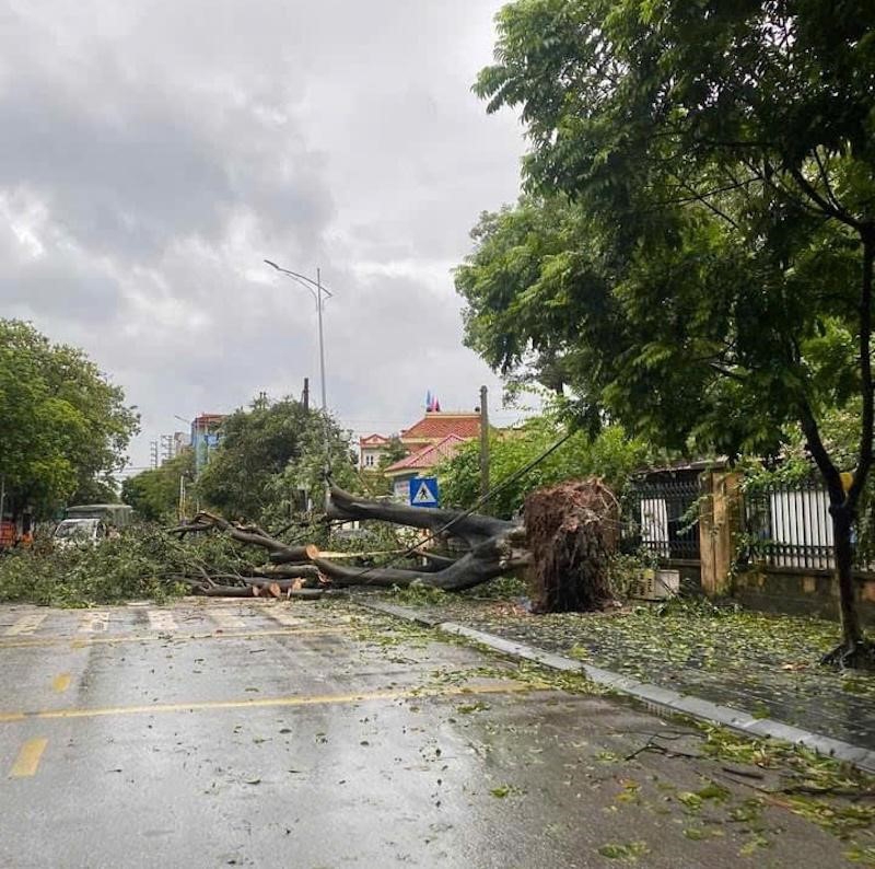 Bắc Ninh: Hơn 500 ngôi nhà ở bị tốc mái, nông nghiệp thiệt hại nặng do bão số 3