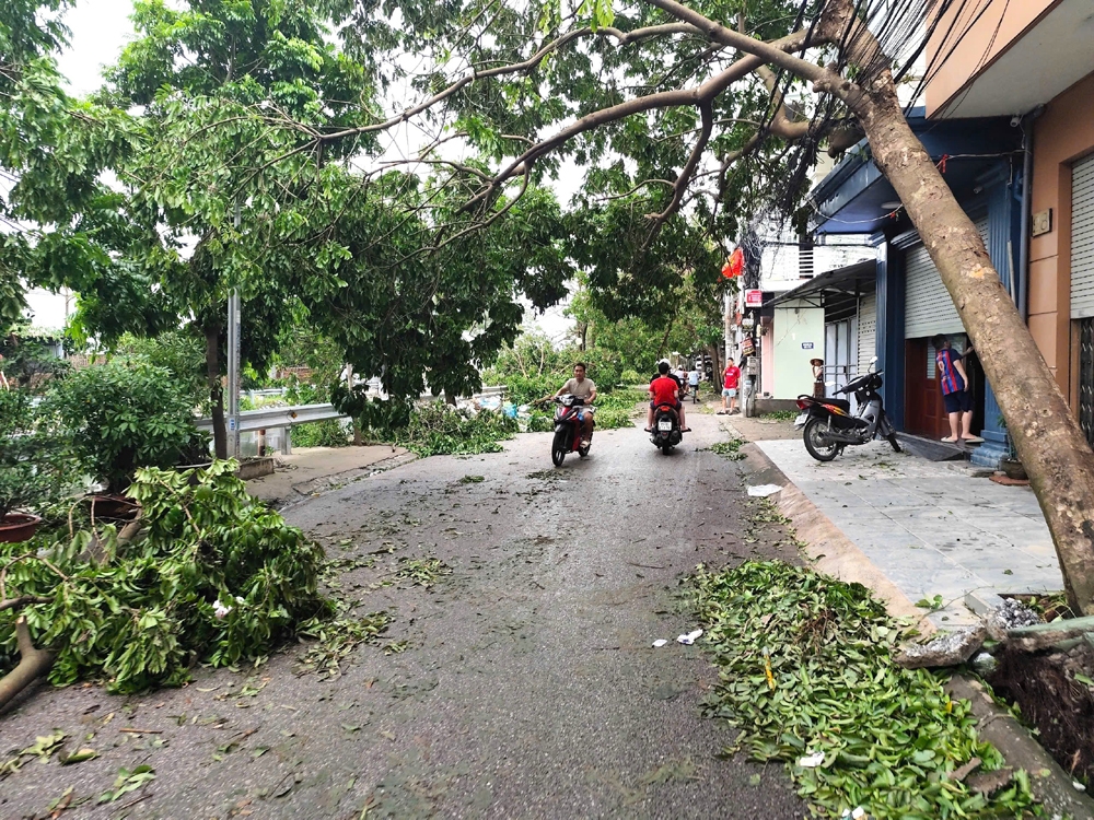 Hải Phòng: Tập trung khắc phục hậu quả cơn bão số 3