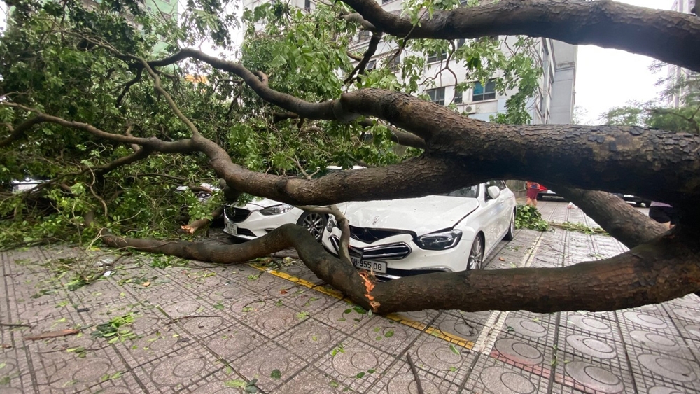 Hoàng Mai (Hà Nội): Người dân xuống đường dọn dẹp “tàn tích” sau siêu bão Yagi