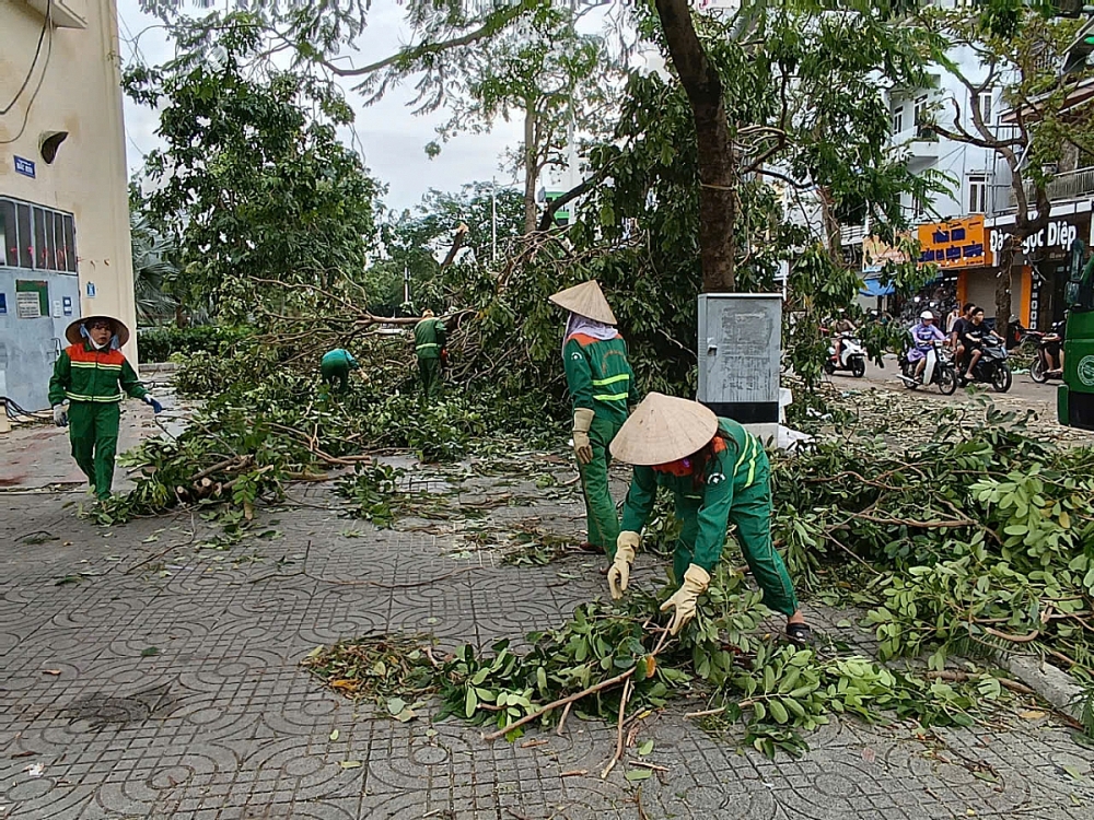 Công ty TNHH MTV Môi trường đô thị Hải Phòng: Tập trung khắc phục bảo đảm giao thông sau bão Yagi