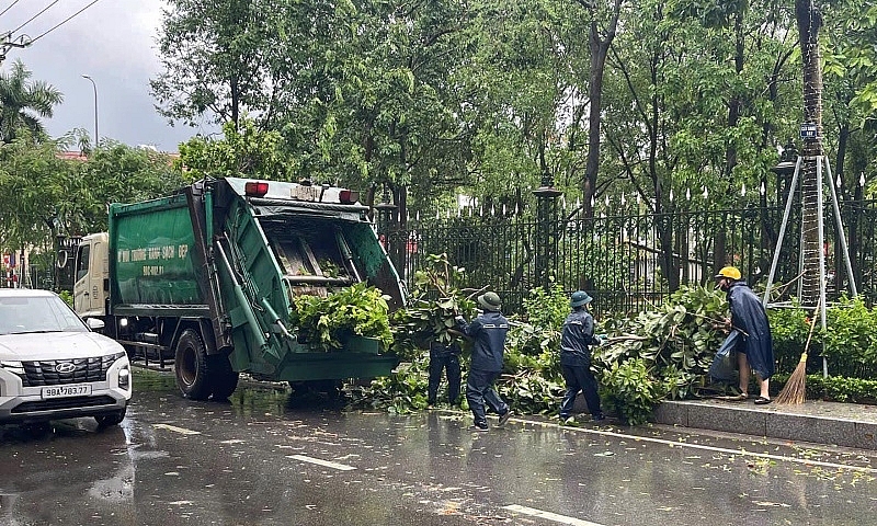 Sở Xây dựng Bắc Giang đề nghị tập trung khắc phục tình trạng cây xanh gãy, đổ sau bão