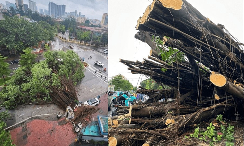 Hà Nội: Quận Cầu Giấy huy động tối đa nguồn lực khắc phục sau bão Yagi