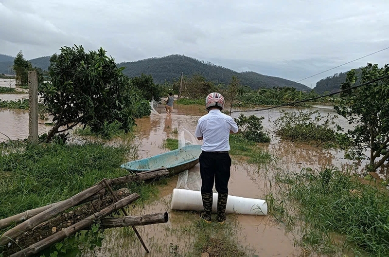 Yên Dũng (Bắc Giang): Ước thiệt hại gần 150 tỷ đồng do bão Yagi