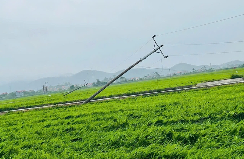 Yên Dũng (Bắc Giang): Ước thiệt hại gần 150 tỷ đồng do bão Yagi