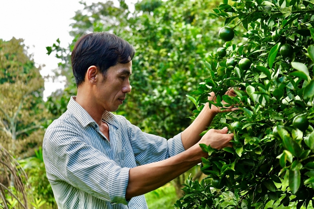 Bài 5: Dòng thác Thủy điện Trị An – “yếu tố” làm đề án du lịch sinh thái xanh ven hồ