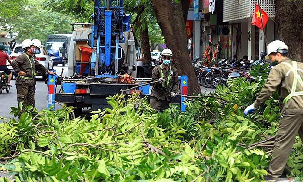 Hà Nội: Phê duyệt điều chỉnh 4 quy trình nội bộ giải quyết thủ tục hành chính thuộc thẩm quyền của Sở Xây dựng