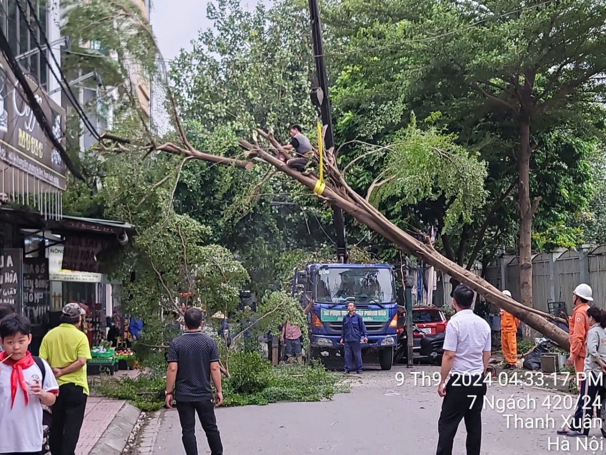 Thanh Xuân (Hà Nội): Phường Hạ Đình ra quân tổng vệ sinh môi trường sau bão số 3