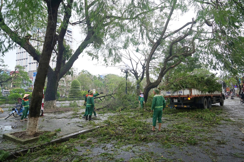 Hải Phòng thiệt hại khoảng 11.000 tỷ đồng do bão số 3