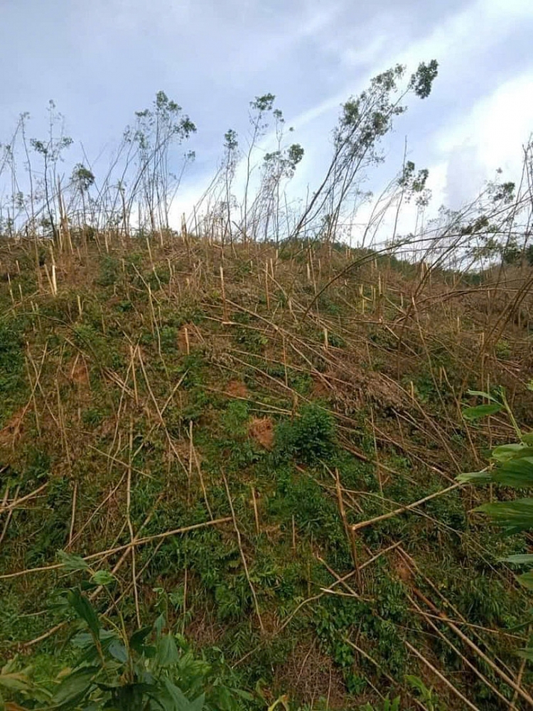 Mất trắng sau lũ, vợ chồng Bắc Giang động viên nhau 'còn người là còn của'