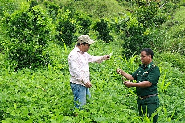 Bến Tre: Đẩy mạnh Chương trình mục tiêu quốc gia giảm nghèo bền vững năm 2024