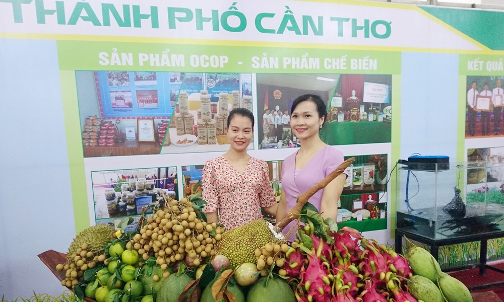 Cần Thơ: Hội chợ Nông nghiệp Quốc tế Việt Nam năm 2024 sẽ diễn ra từ ngày 01 - 05/11/2024