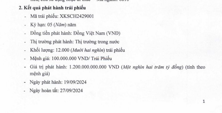 Nợ thuế gần nghìn tỷ, Công ty Đảo Ngọc Xanh Kỳ Sơn vẫn phát hành thành công 1.200 tỷ đồng trái phiếu