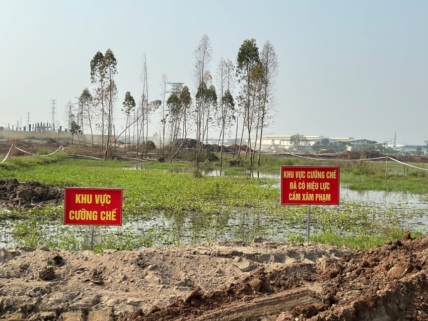 Bắc Ninh: Cưỡng chế thu hồi đất dự án tại Khu công nghiệp Thuận Thành III - Phân khu B