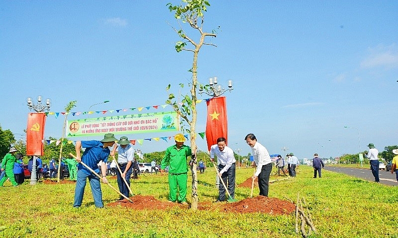 Đắk Lắk: Sẽ triển khai trồng hơn 5.000 cây xanh trên địa bàn thành phố Buôn Ma Thuột