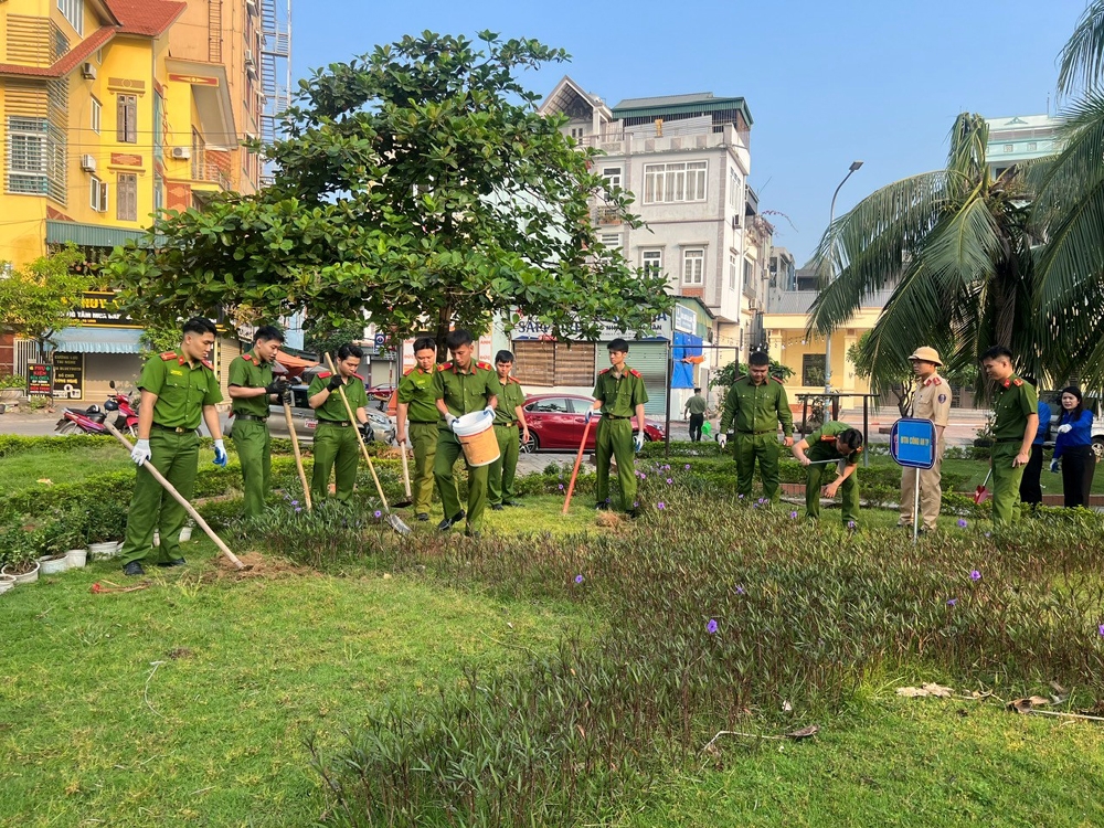 Hạ Long (Quảng Ninh): Khôi phục lại đường hoa sau bão số 3