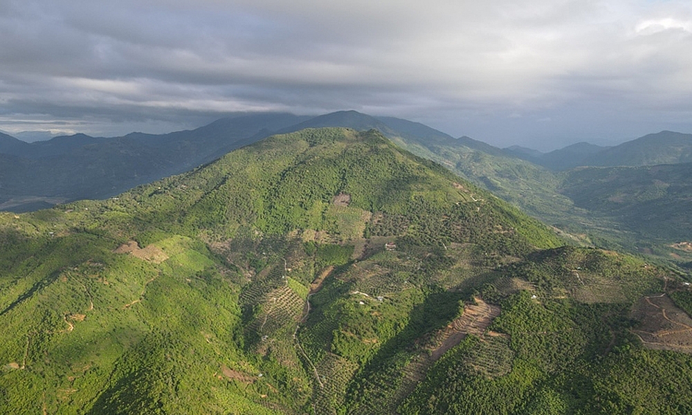 Khánh Hòa: Phát triển giá trị đa dụng của hệ sinh thái rừng đến năm 2030, tầm nhìn đến năm 2050