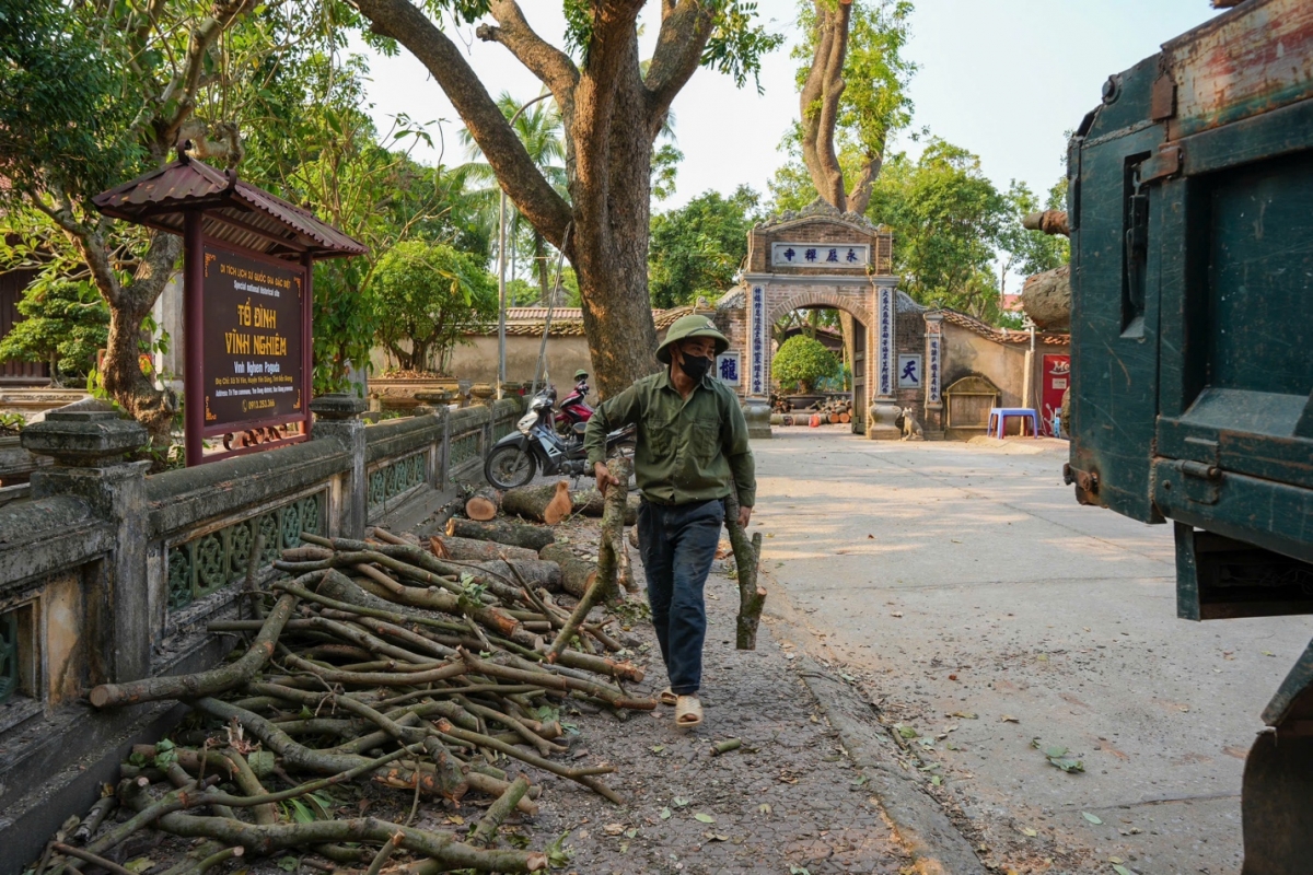 Bắc Giang: Chùa Vĩnh Nghiêm Triển khai khôi phục, tu sửa sau thiệt hại từ bão số 3