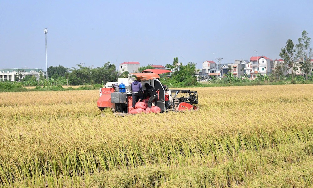 Bắc Ninh: Nâng cao hiệu quả quản lý, kiện toàn Văn phòng điều phối nông thôn mới