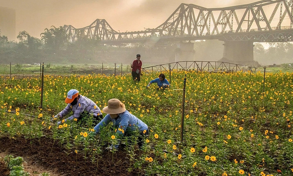 Hà Nội: Ra mắt công trình Bến hoa Phúc Xá – Ba Đình