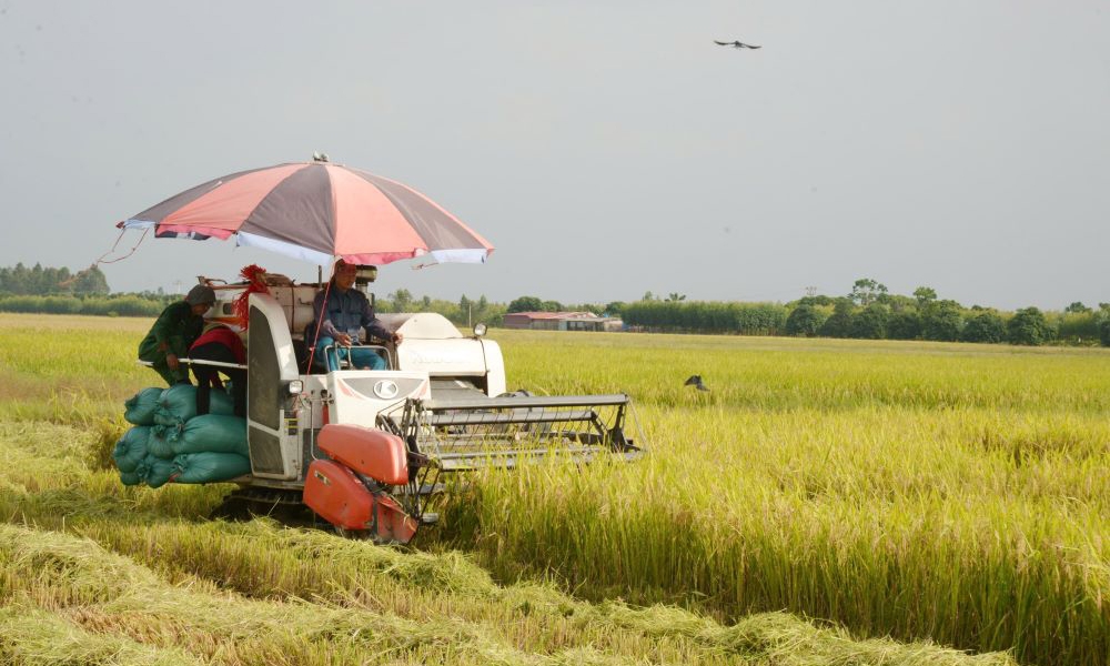 Thạch Thất (Hà Nội): Khởi sắc từng ngày nhờ xây dựng nông thôn mới