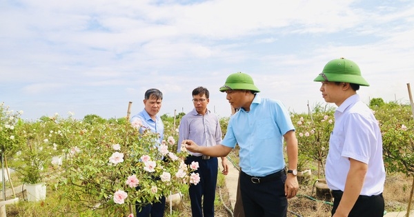 Mê Linh (Hà Nội): Ước đạt 18 chỉ tiêu vượt kế hoạch xây dựng nông thôn mới đến năm 2025