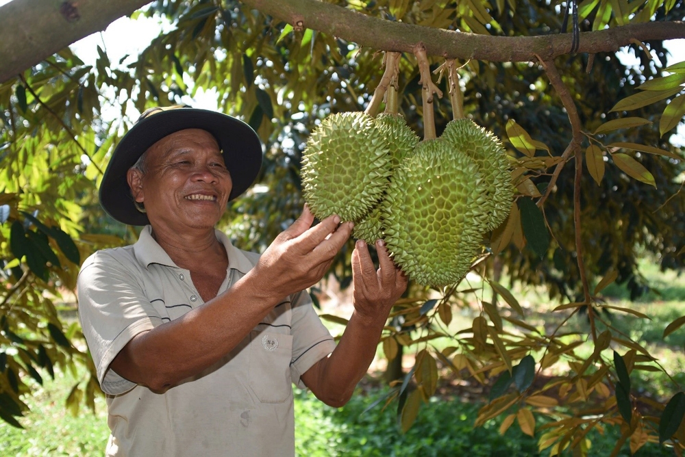 Đồng Nai: “Ngọn cờ đầu” trong phong trào xây dựng nông thôn mới của cả nước