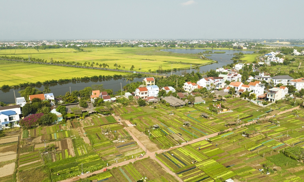 Quảng Nam: Làng rau Trà Quế là “Làng Du lịch tốt nhất” năm 2024