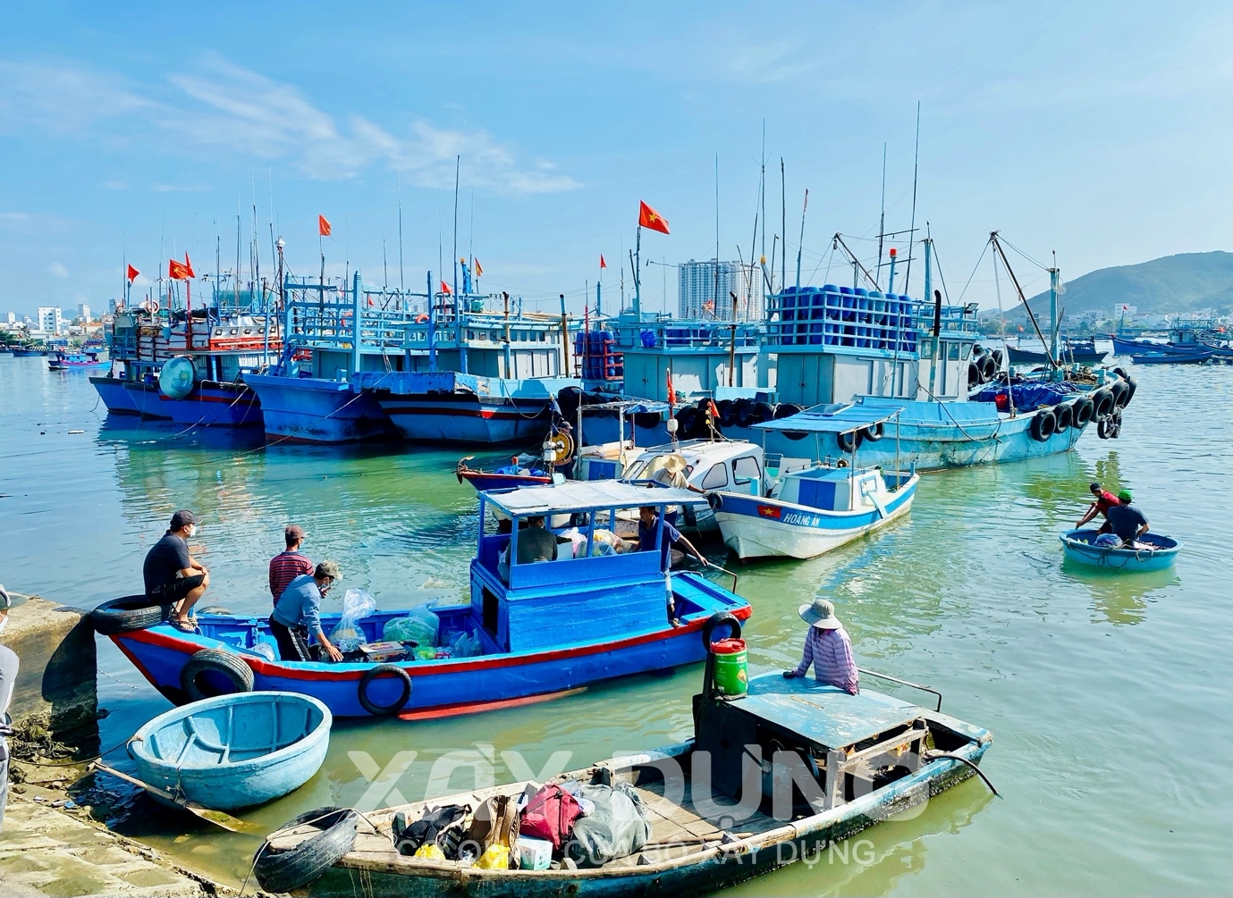 soi dong nhung chuyen bien dau nam