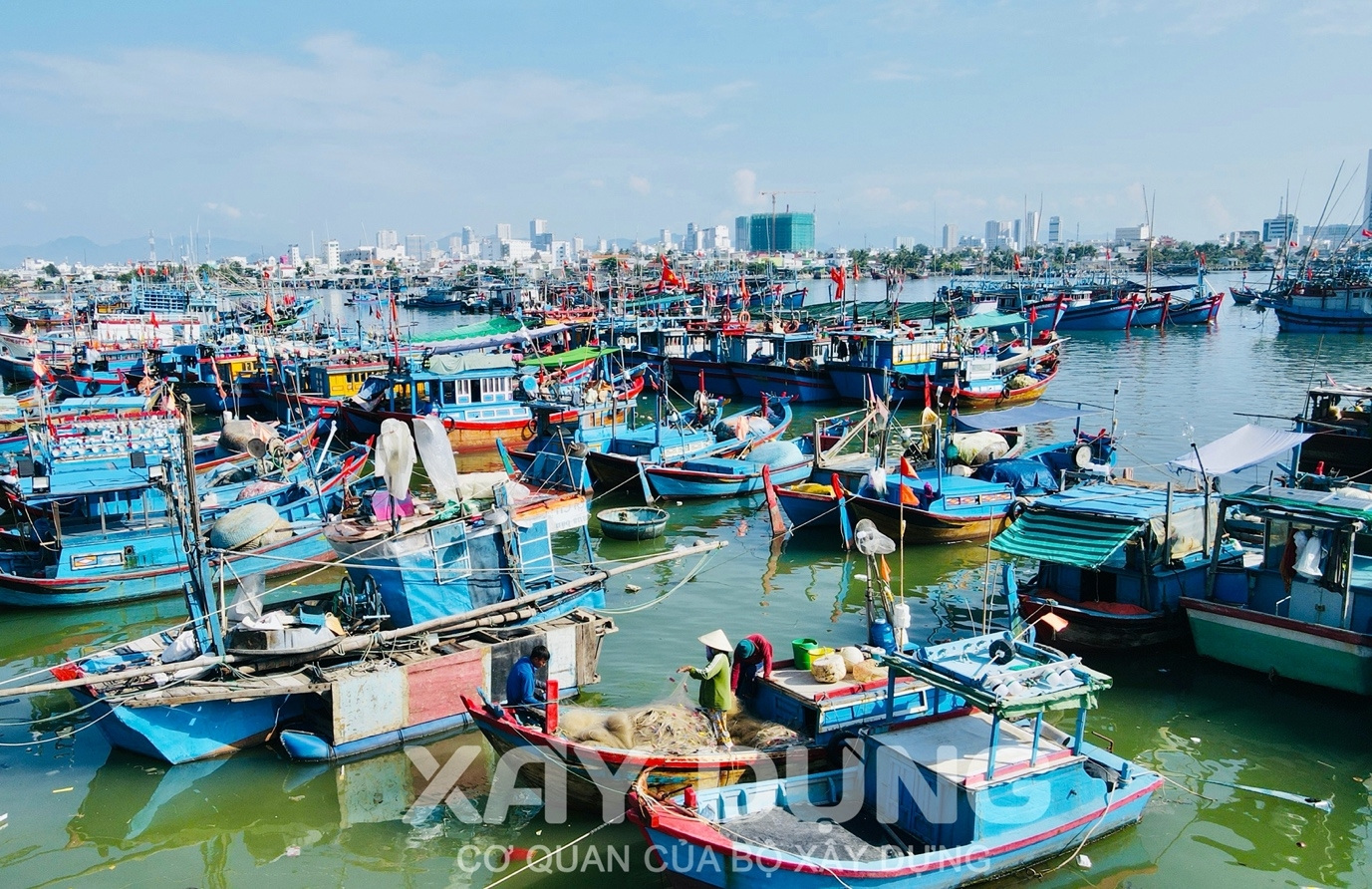 soi dong nhung chuyen bien dau nam