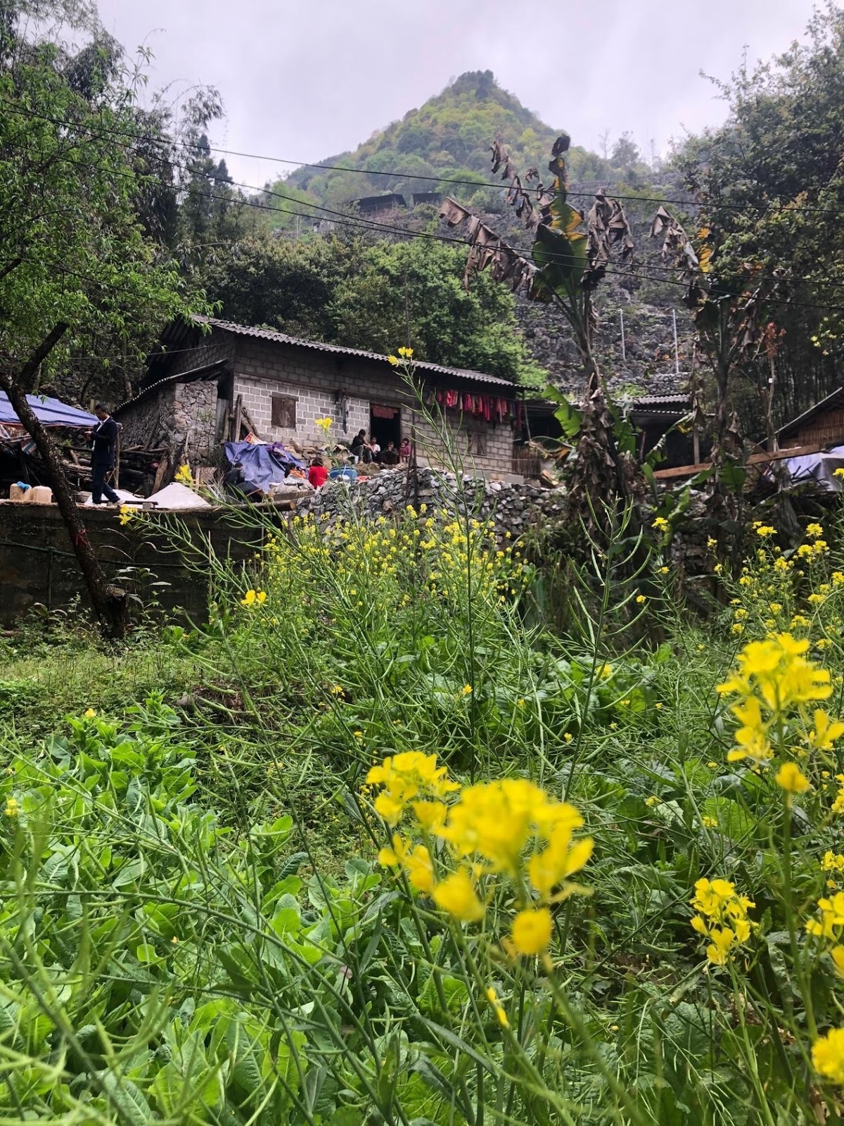 mai am tren cao nguyen da ha giang