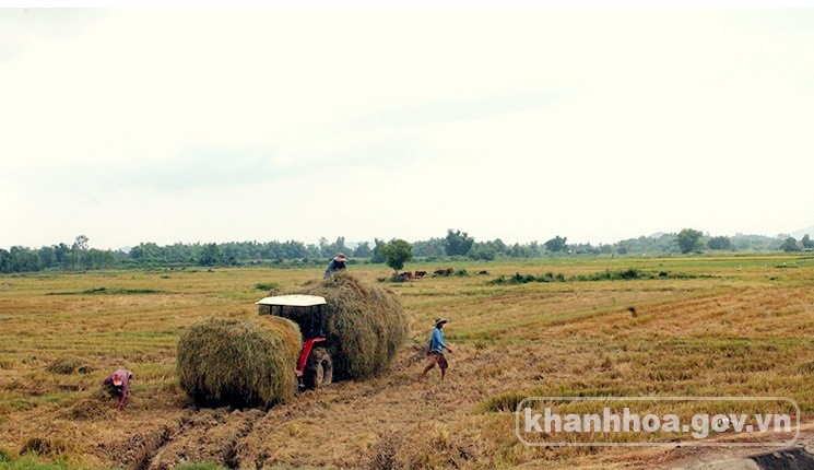 Vạn Ninh (Khánh Hòa): Tạm dừng thủ tục đăng ký biến động đất đai tại khu vực rà soát quy hoạch