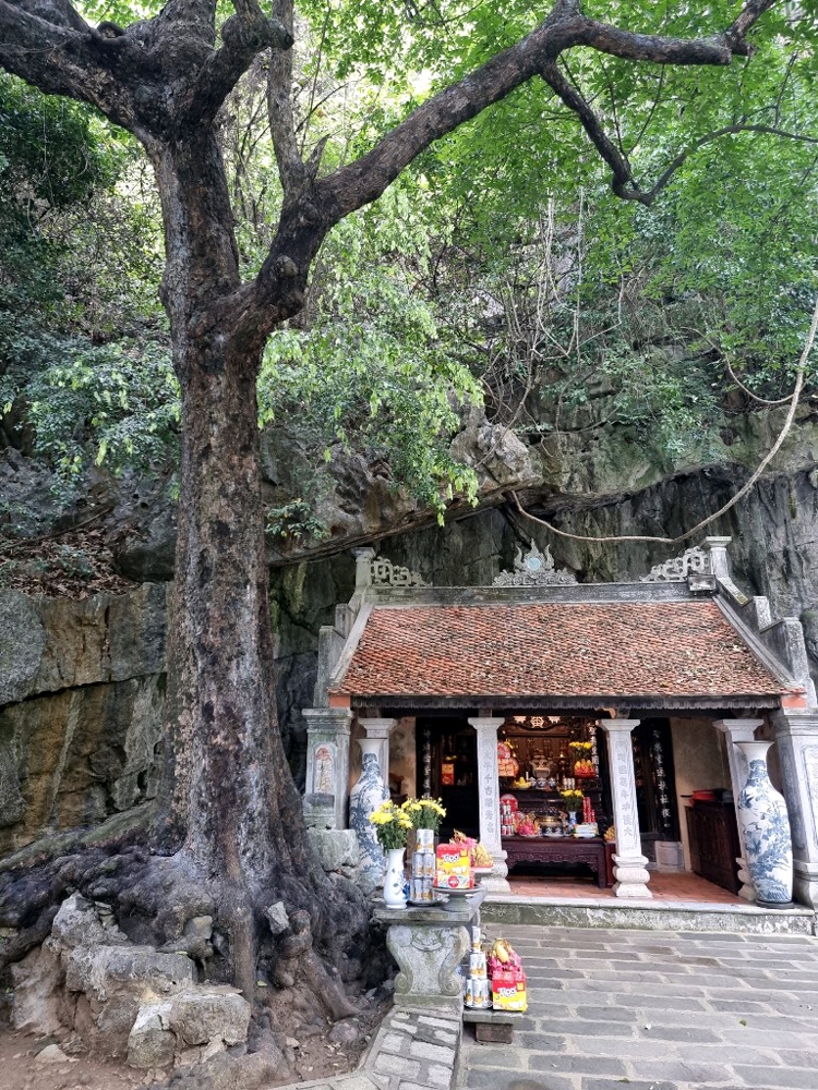 ninh binh sao khe dong song mang nhieu net van hoa co