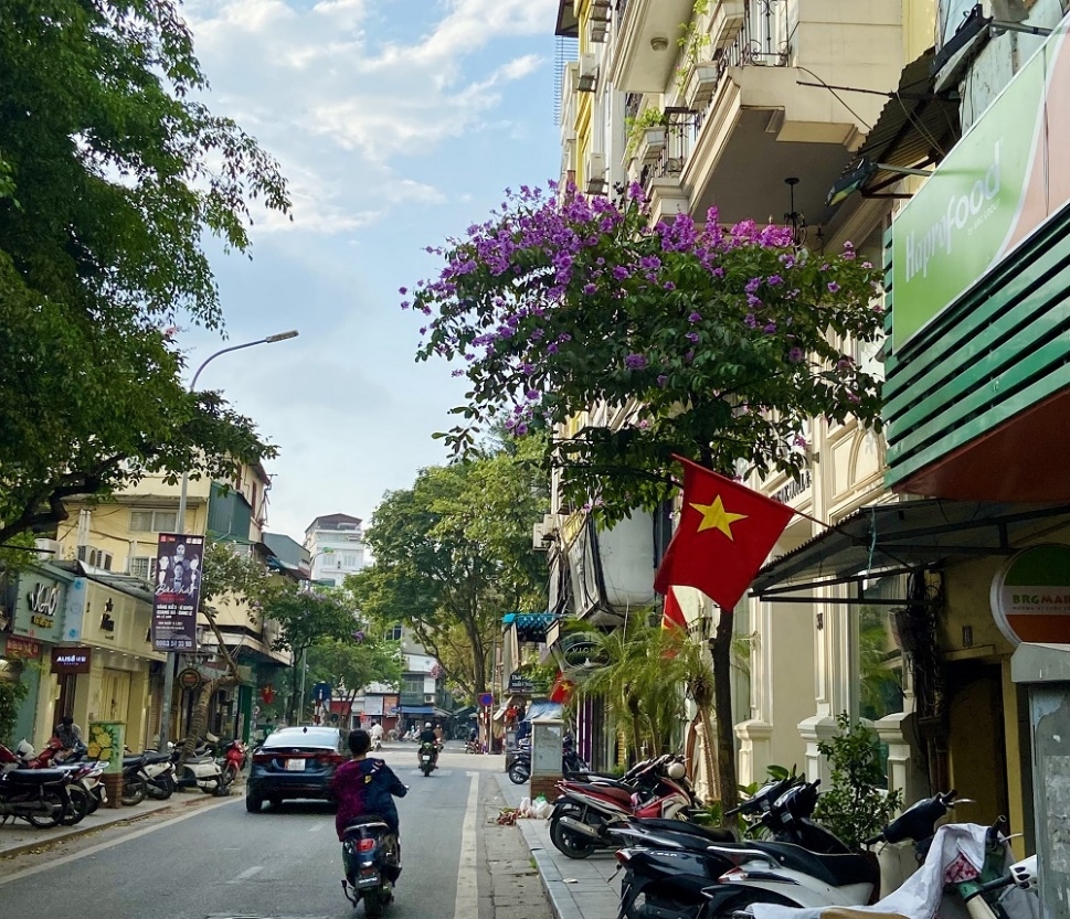 hoa bang lang khoe sac khap pho phuong thu do