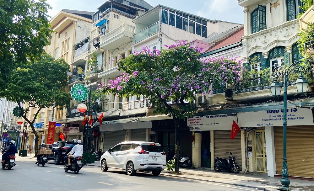 hoa bang lang khoe sac khap pho phuong thu do