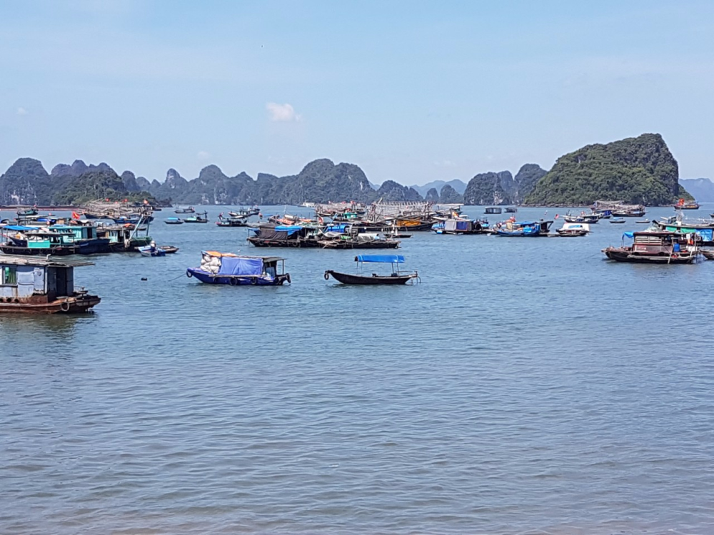 ha long quang ninh nhung dieu nen biet ve bai tam hon gai