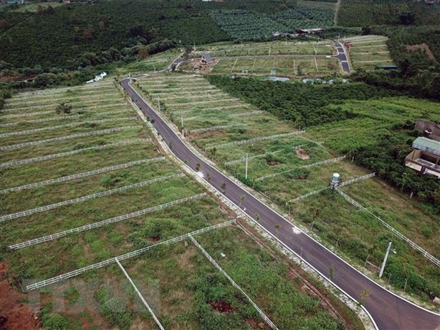 Lâm Đồng: Nhiều đồi chè, càphê tại B’Lao bị 'xẻ thịt,' phân lô bán nền