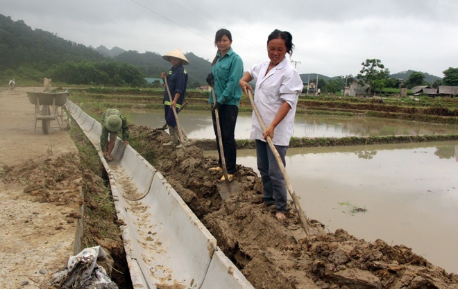 tinh tuyen quang thuc hien hieu qua cong tac dau thau qua mang