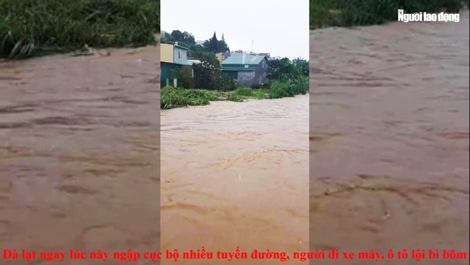 mua lon da lat ngap sau nhieu noi