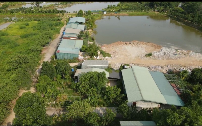 Hà Nội: Ai chịu trách nhiệm khi để xảy ra vi phạm pháp luật về đất đai, trật tự xây dựng?