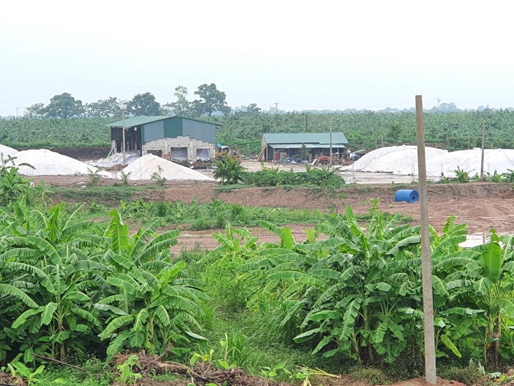 phu xuyen ha noi can lam ro viec sua chua cai tao chuong trai lam noi nuoi mo bo